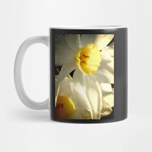 Daffodil Flower Mug